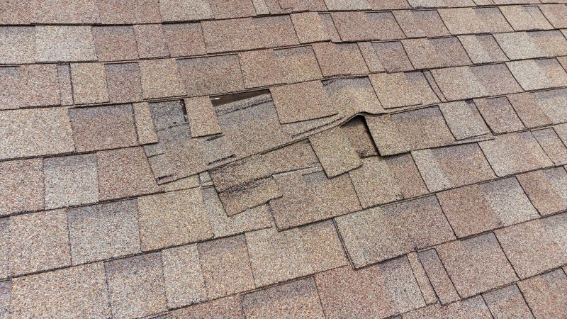 Damaged Shingle Replacement